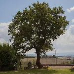 Casale Pian Di Fratta